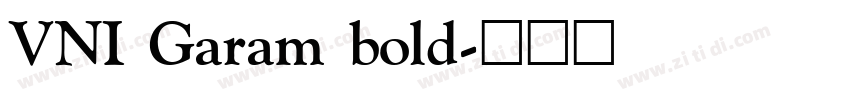 VNI Garam bold字体转换
